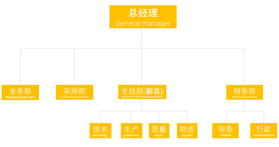 战略合作伙伴